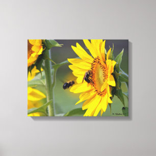 Sunflower and Bees Canvas Print