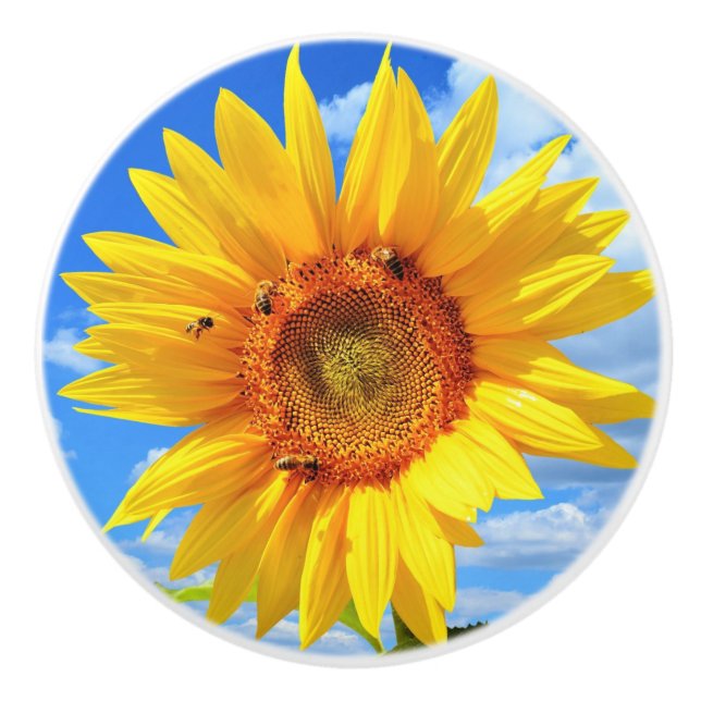 Sunflower and Bees Ceramic Knob (Front)
