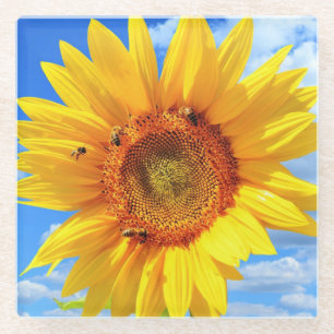 Sunflower and Bees Glass Coaster