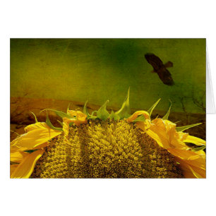 Sunflower and bird