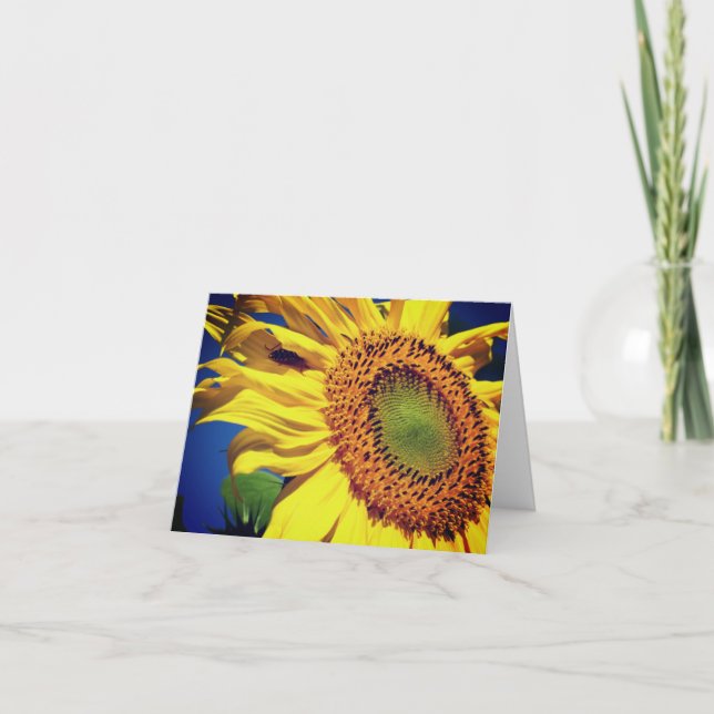 Sunflower And Guest Flower Blank Note Card (Front)