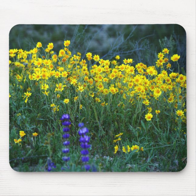 Sunflower and Lavender Mouse Pad (Front)