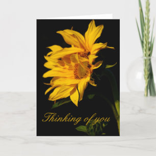 Sunflower and meaning card