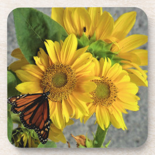 Sunflower and Monarch Butterfly Coasters
