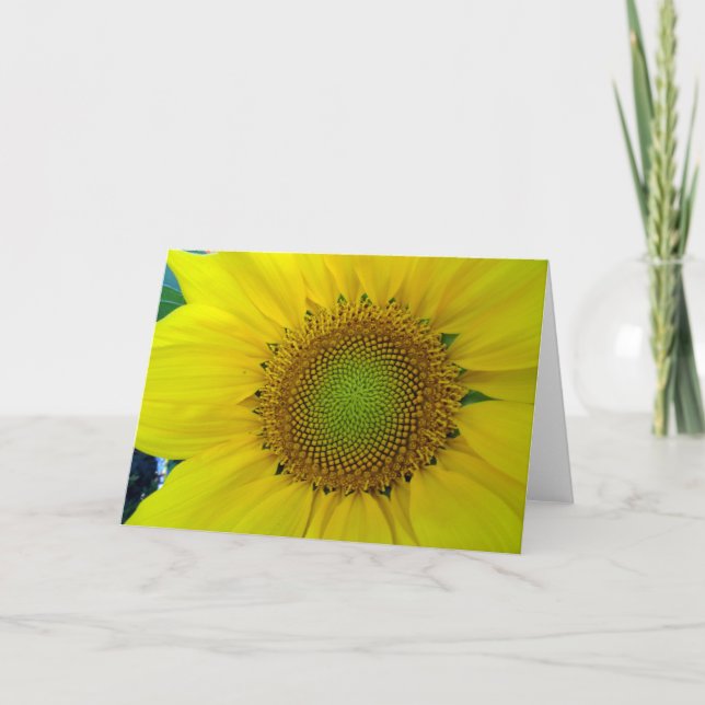 Sunflower and Seeds, Spiral, Golden Ratio  Card (Front)