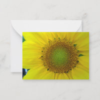 Sunflower and Seeds, Spiral, Golden Ratio 