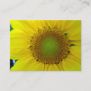 Sunflower and Seeds, Spiral, Golden Ratio  Enclosure Card