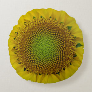 Sunflower and Seeds, Spiral, Golden Ratio Round Pillow