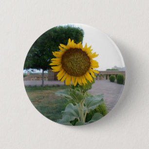 Sunflower Art Print 2 Inch Round Button
