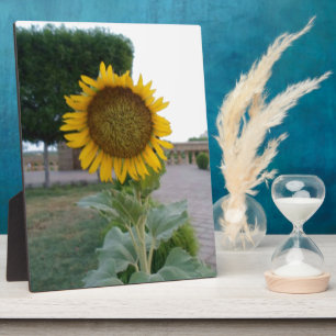Sunflower Art Print Customize Product Plaque