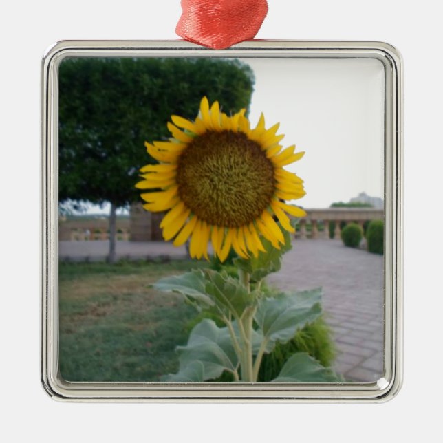 Sunflower Art Print Metal Ornament (Front)