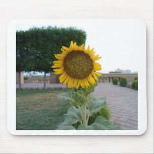 Sunflower Art Print Mouse Pad