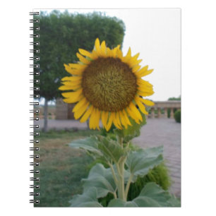 Sunflower Art Print Notebook