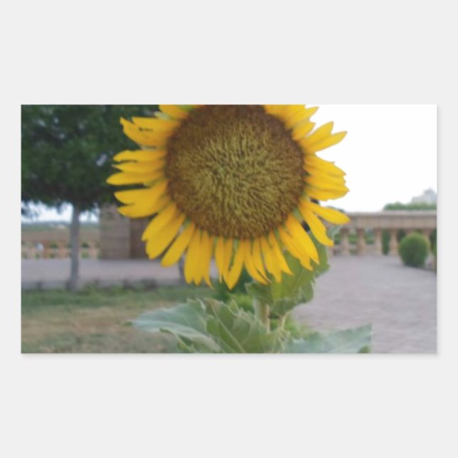 Sunflower Art Print Sticker (Front)