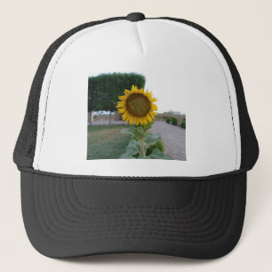 Sunflower Art Print Trucker Hat