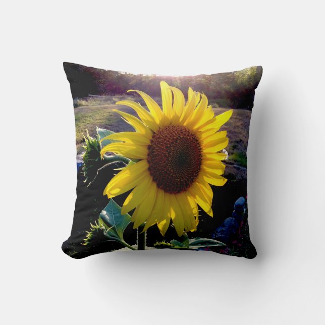 Sunflower at Sunset --- Throw Pillow (Front)