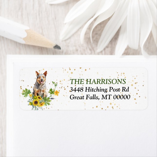 Sunflower Australian Cattle Dog Adresse de retour (En situation)