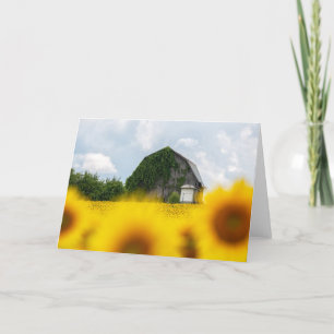 Sunflower Barn Blank Note Card