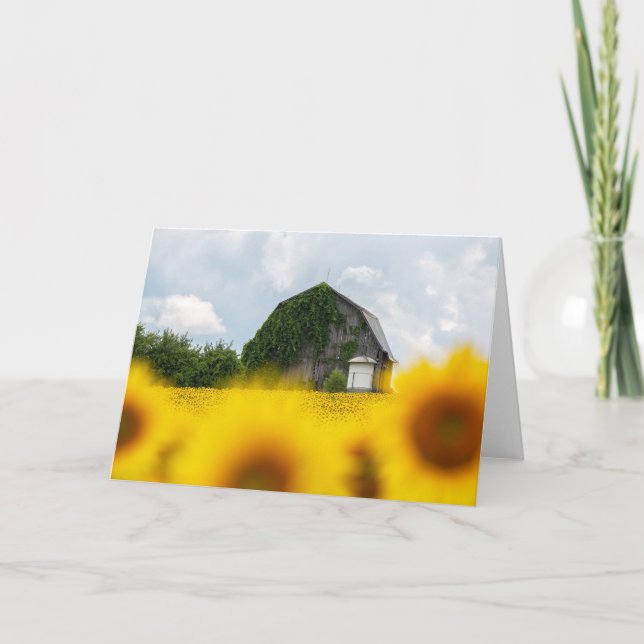 Sunflower Barn Blank Note Card (Front)
