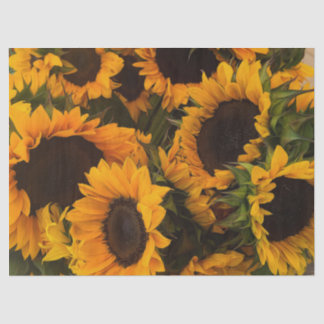 Sunflower Basket Tissue Paper