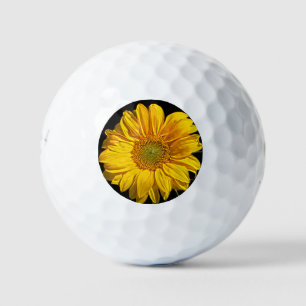 Sunflower be6 gbcna golf balls