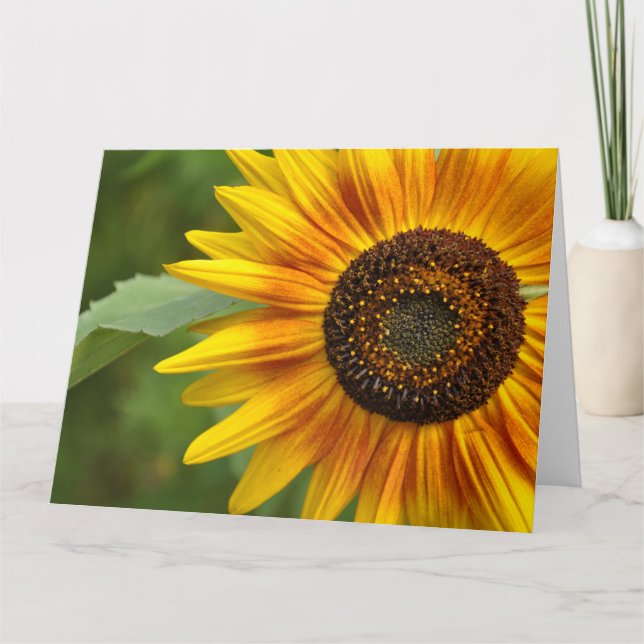 Sunflower beauty           card (Front)