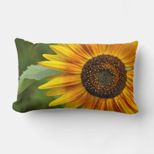 Sunflower beauty lumbar pillow