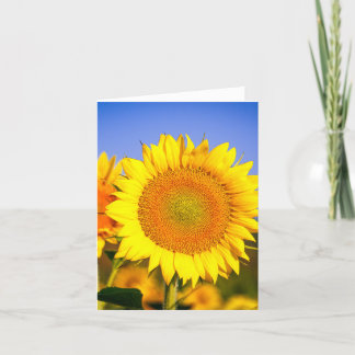 Sunflower Beauty Thank You Card