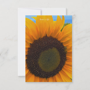 Sunflower, Bee & Sky Card