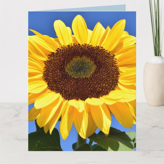 SUNFLOWER BIRTHDAY Greeting Card (Front)