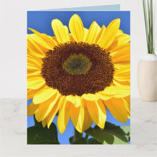 SUNFLOWER BIRTHDAY Greeting Card