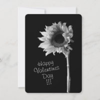 Sunflower Black and White Photograph