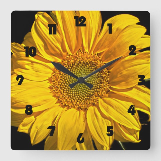 Sunflower Black Fat Numbers wca Square Wall Clock (Front)