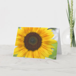 Sunflower Blank Card