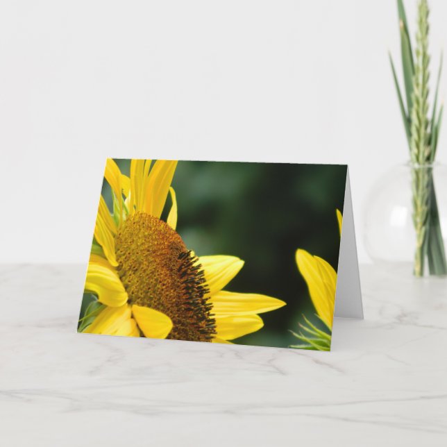 Sunflower Blank Greeting Card (Front)