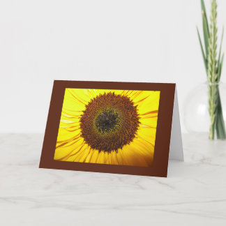 Sunflower - blank inside card