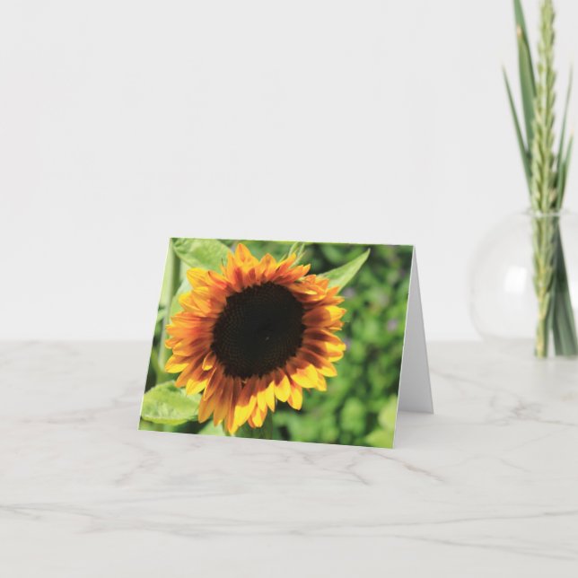 Sunflower blank notecard (Front)