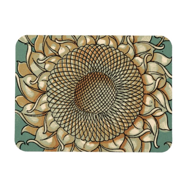 Sunflower Bloom on Blue-green Background Magnet (Horizontal)