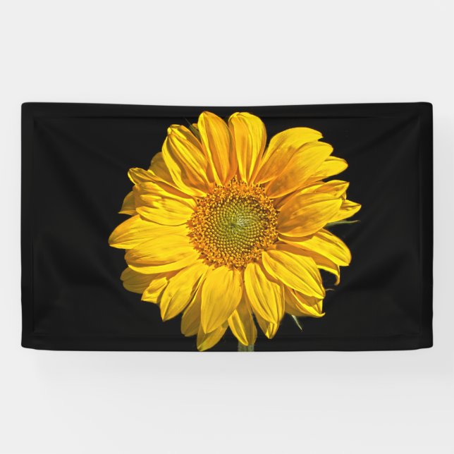 Sunflower bnrcna banner (Horizontal)