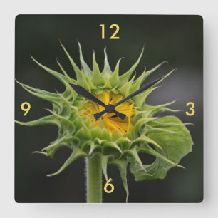 Sunflower Bud Wall Clock
