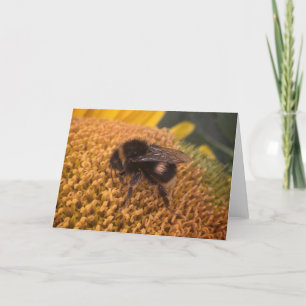Sunflower Bumblebee Holiday Card