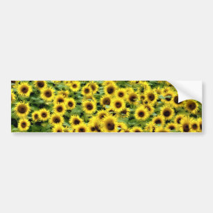 Sunflower Bumper Sticker