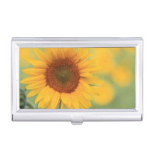 sunflower business card holder