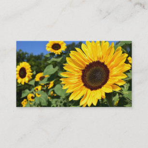 Sunflower Business Cards