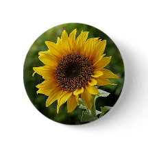 Sunflower Button