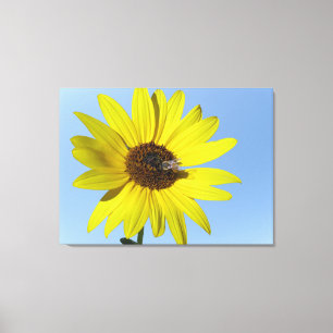 Sunflower Canvas