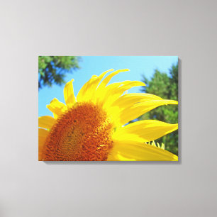 Sunflower Canvas Art Print panels Flowers