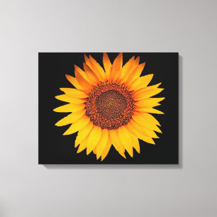 Sunflower Canvas Print