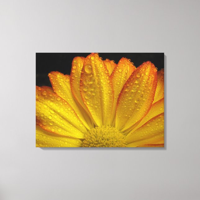 Sunflower Canvas Print (Front)
