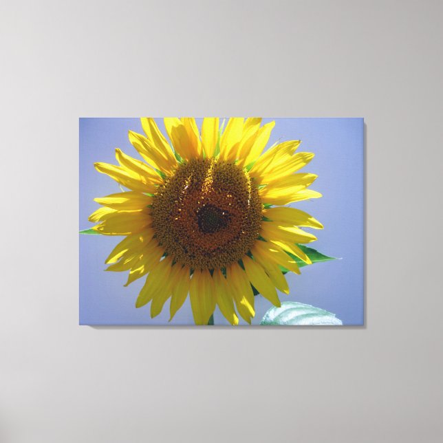 Sunflower Canvas Print (Front)